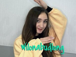Wilonabudlong