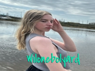 Wilonebolyard