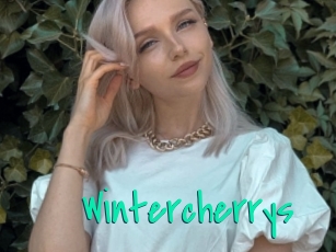 Wintercherrys