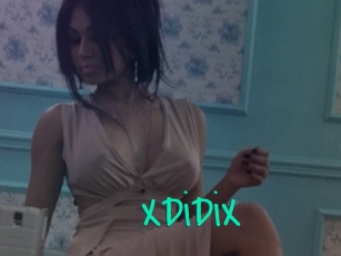 XDiDiX