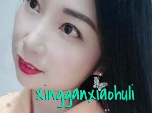 Xingganxiaohuli