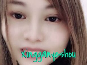 Xingganyeshou