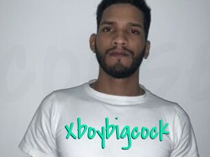 Xboybigcock