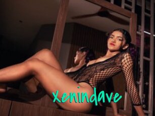 Xenindave