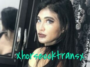 Xhorseccktransx