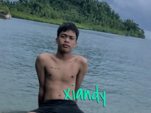 Xiandy