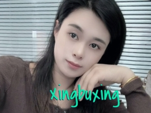 Xingbuxing