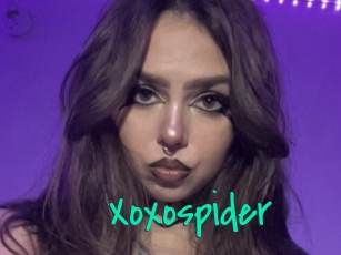 Xoxospider