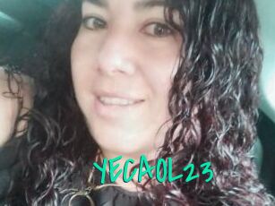 YECAOL23