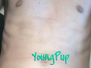 YoungPup Cool Sexe