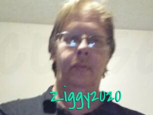 Ziggy2020
