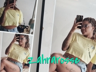 Zahrarosse
