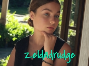 Zeldadrudge
